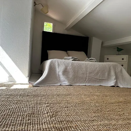 펜션 Mymoustiers 무스티에생마리