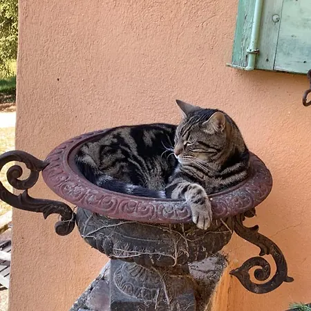 Mymoustiers 펜션 무스티에생마리