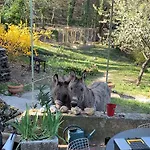 Casa vacanze Mymoustiers *