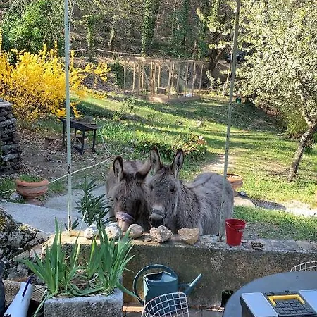 Hébergement de vacances Bergerie De Charme à *